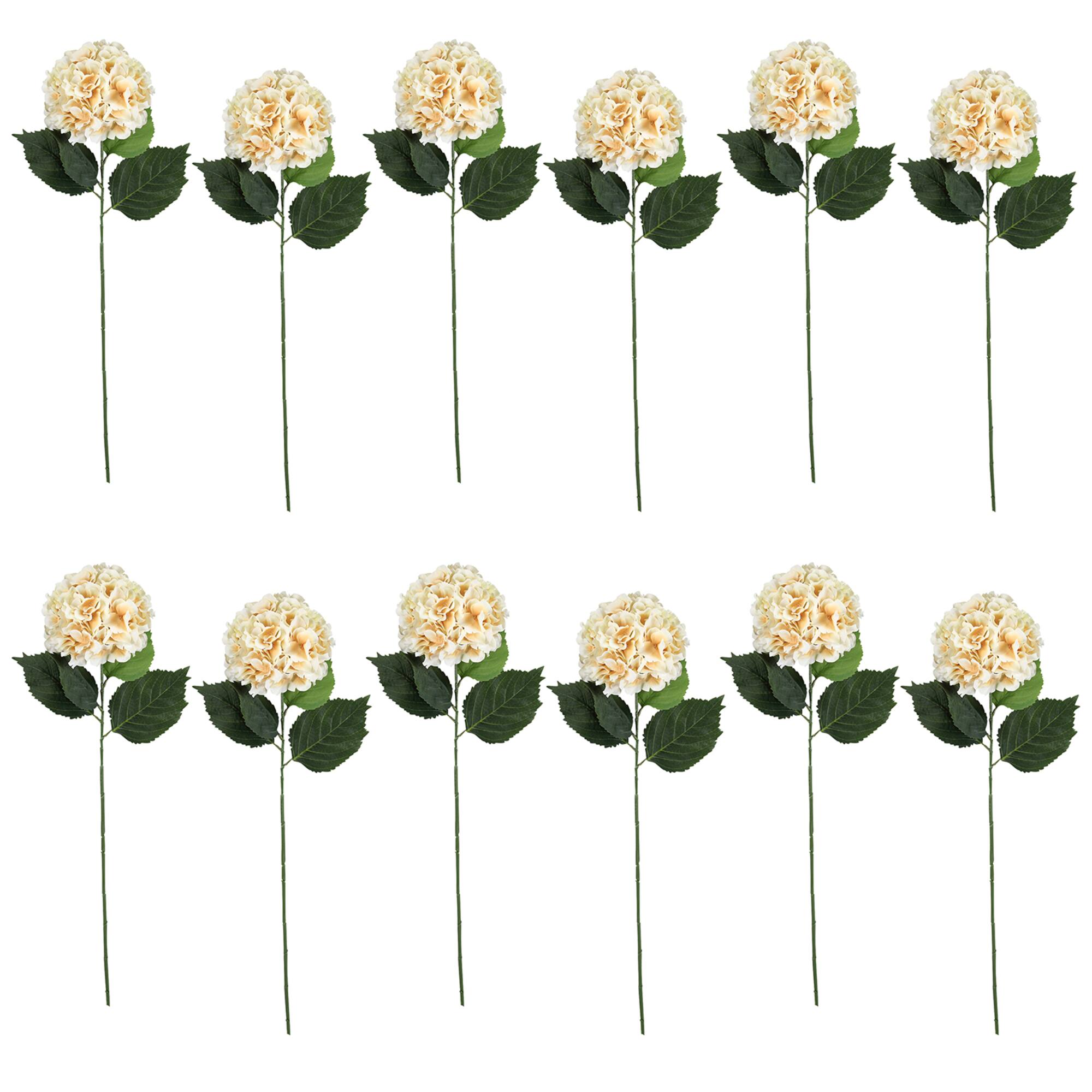 12 Pack: Cream Hydrangea Stem by Ashland®